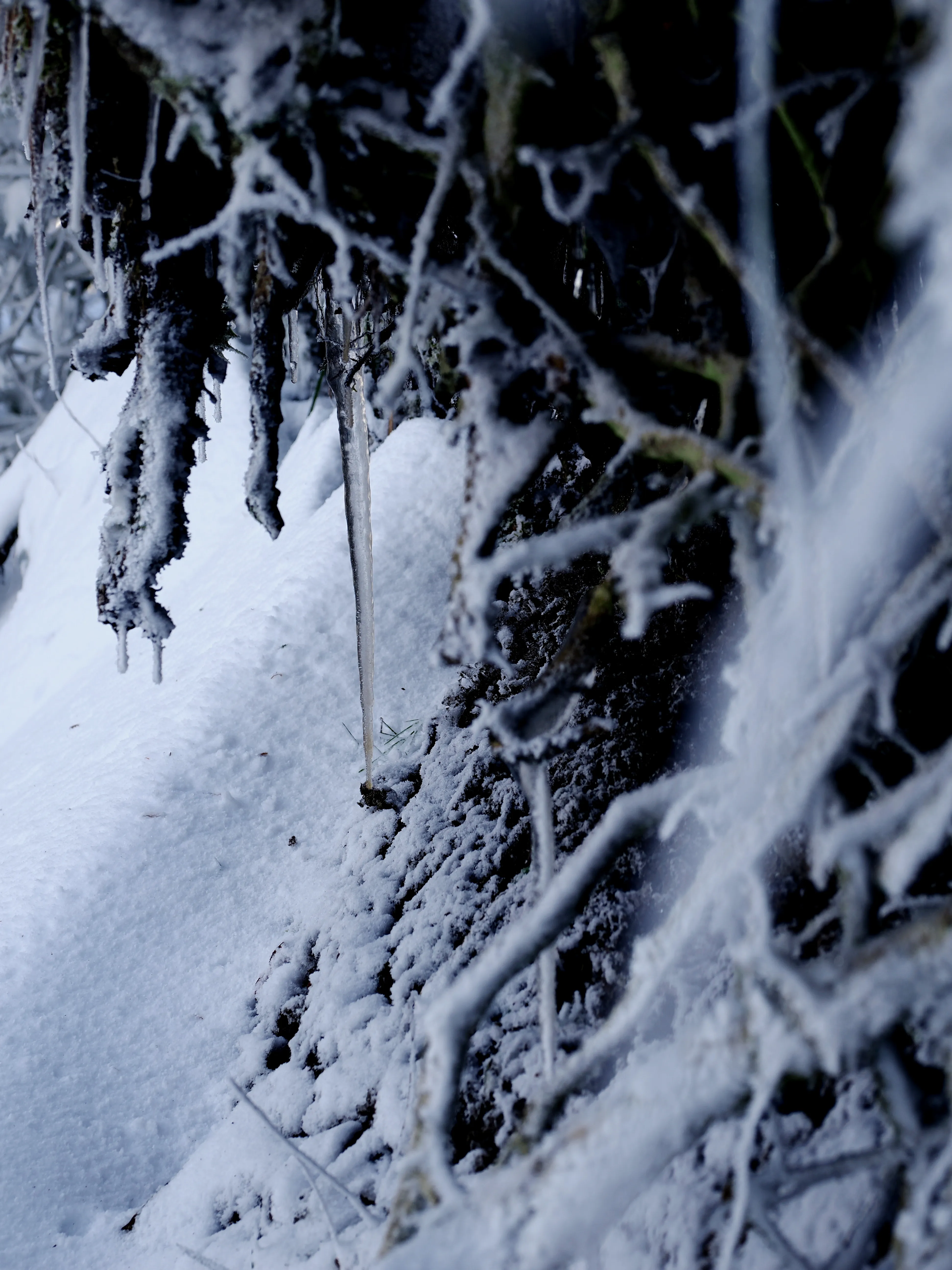 Strati di neve e libertà