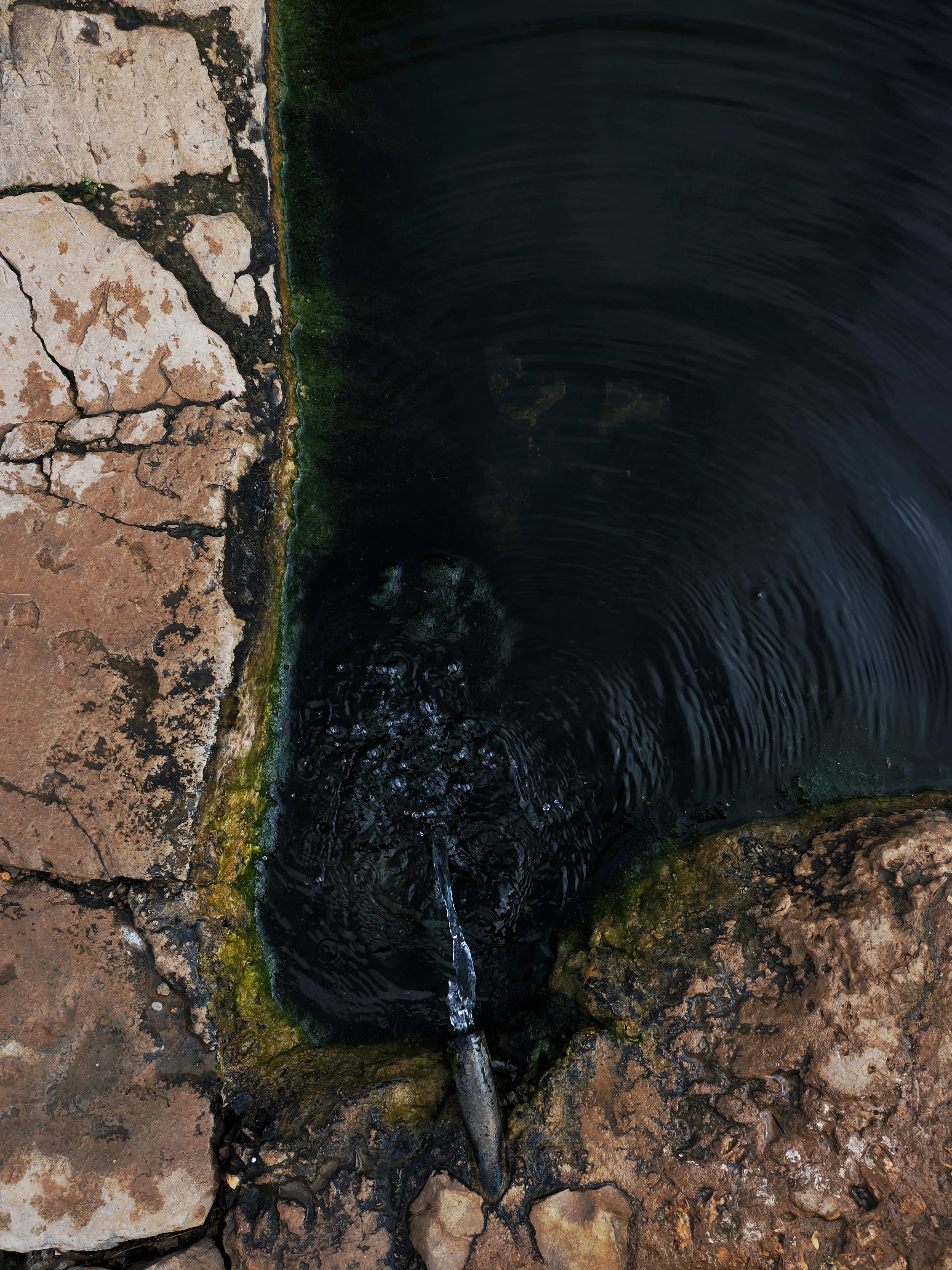 Respiro fiorito dell'autunno a Marettimo. Fotografia del sentire
