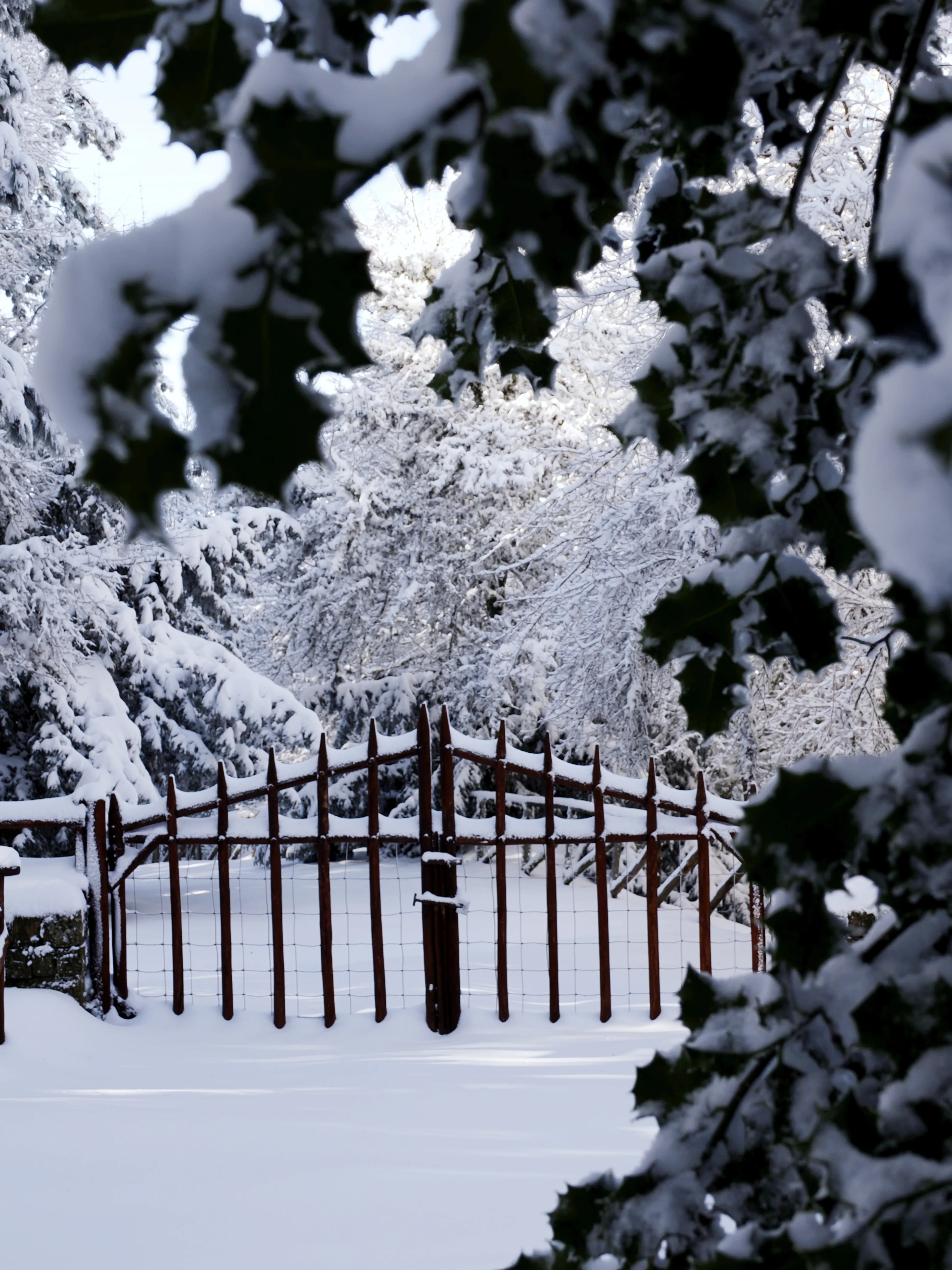 Strati di neve e libertà