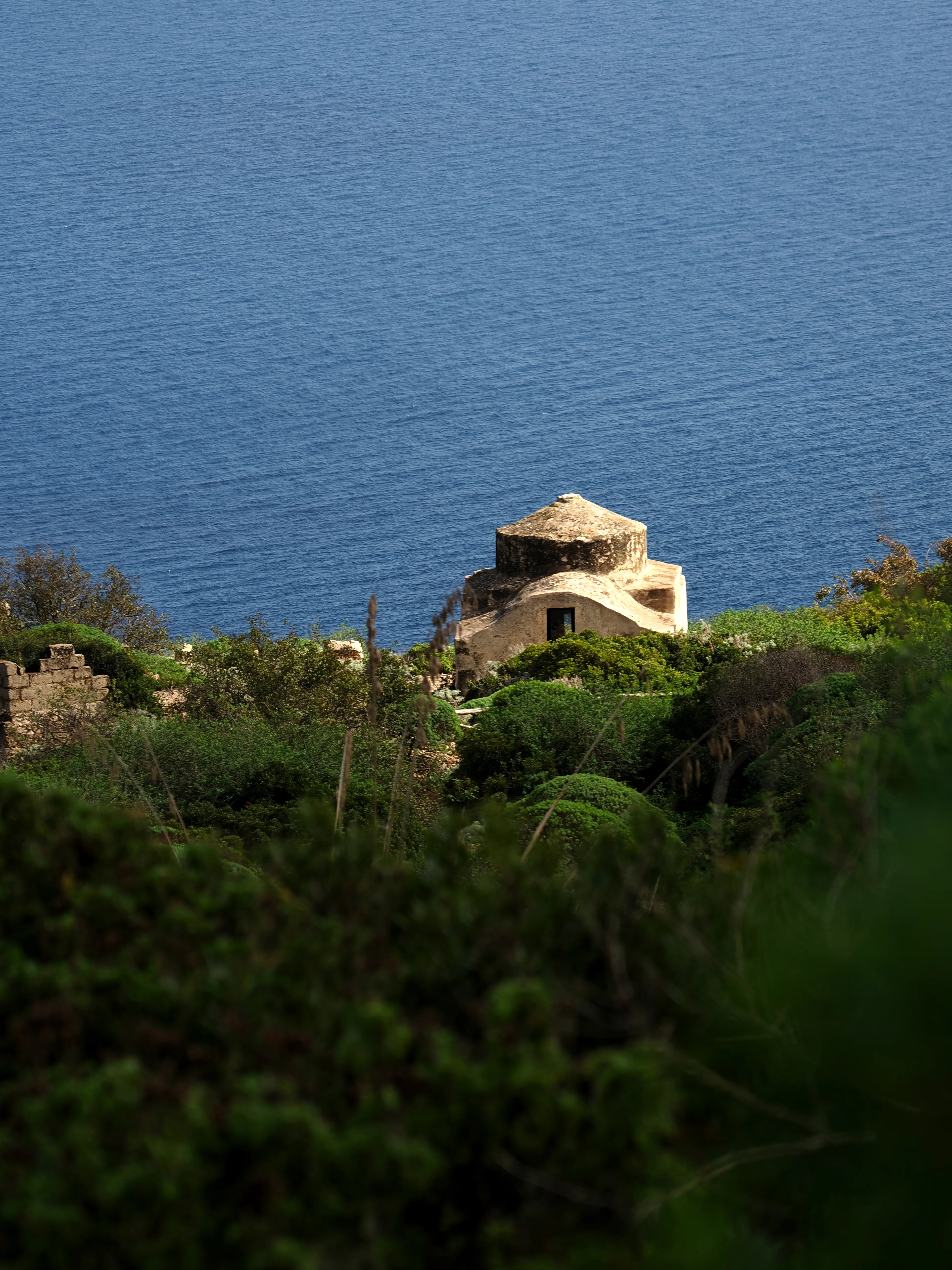 Respiro fiorito dell'autunno a Marettimo. Fotografia del sentire