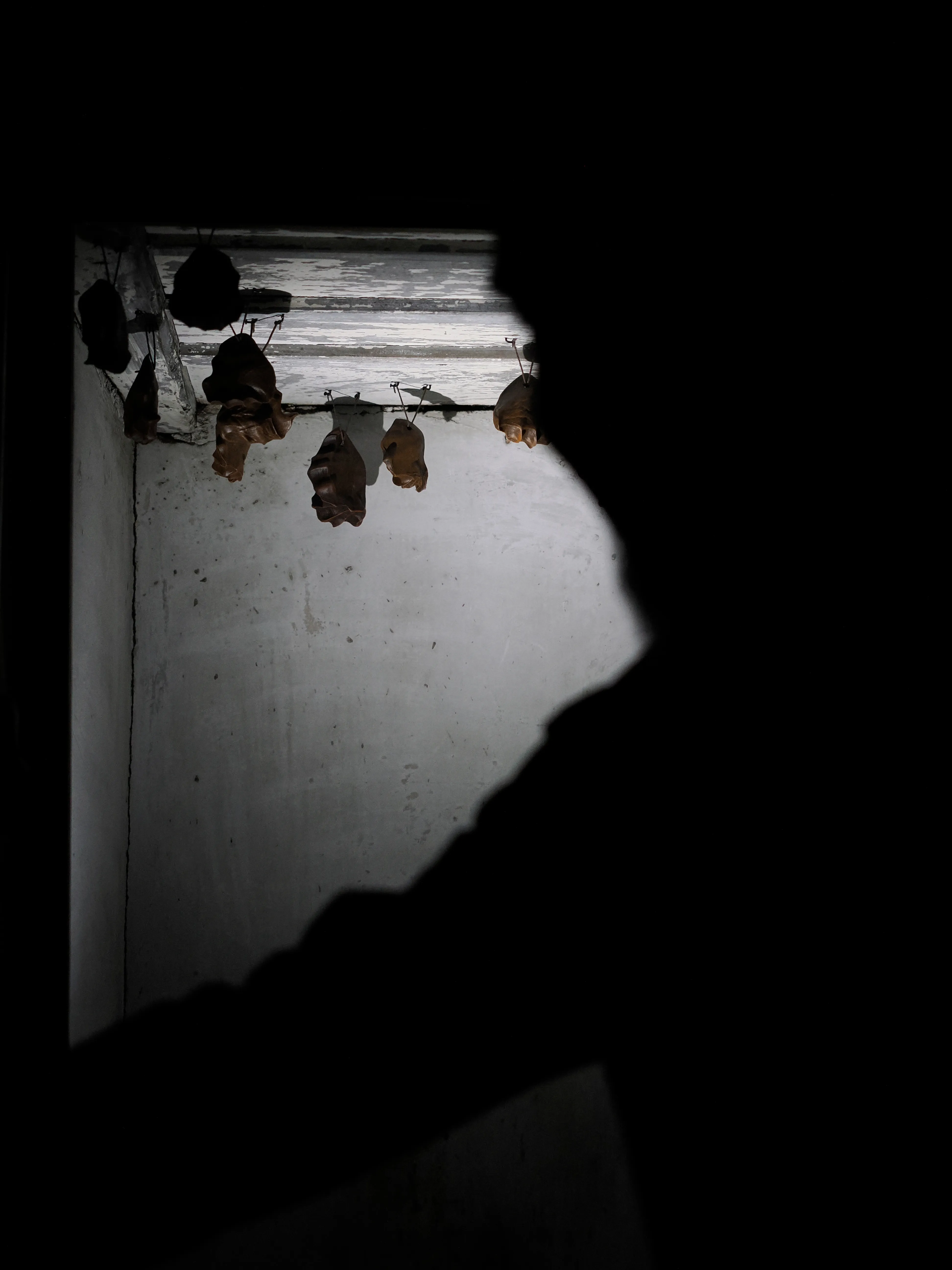 Prima di lasciare questa regale dimora