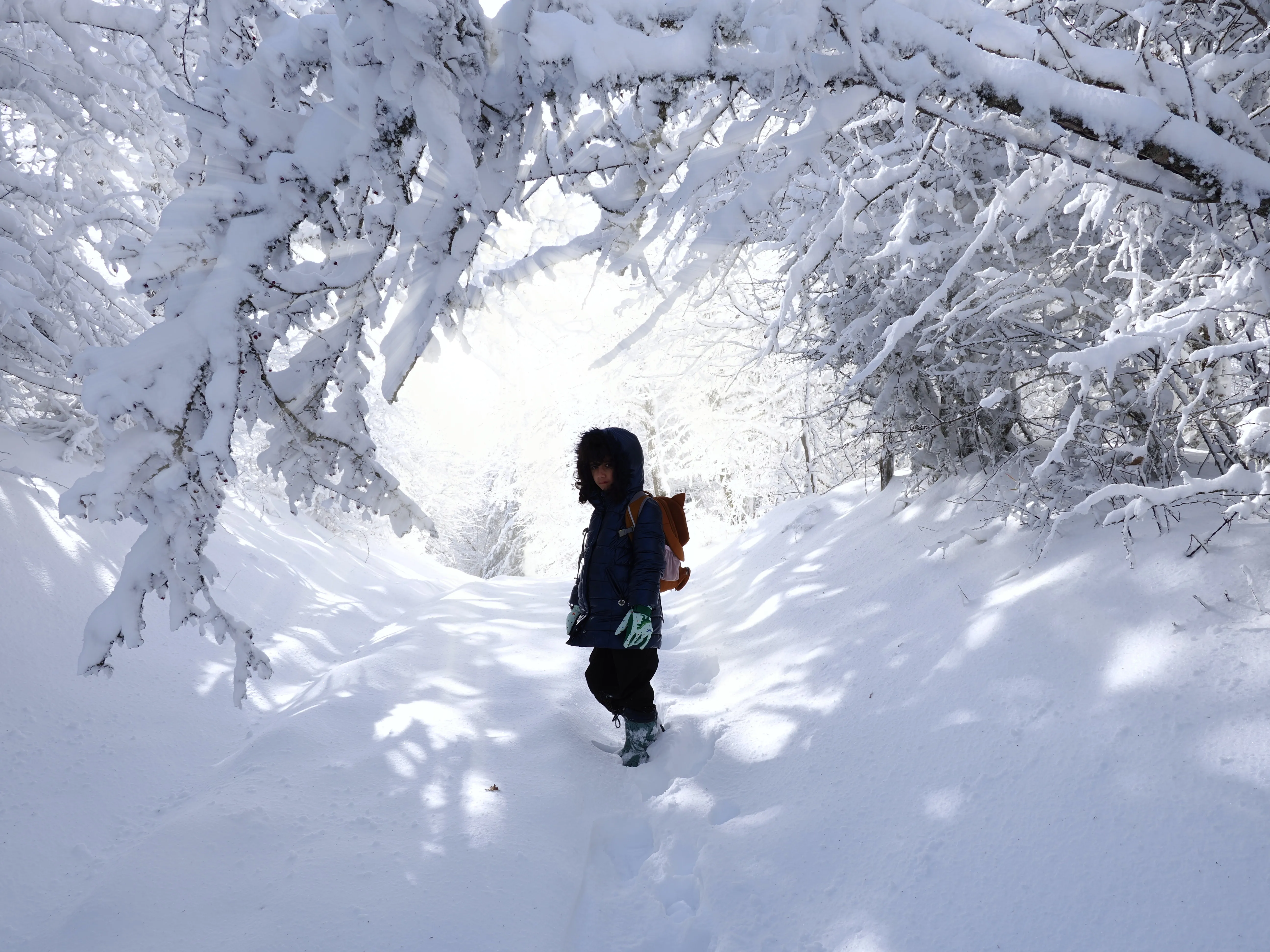 Strati di neve e libertà