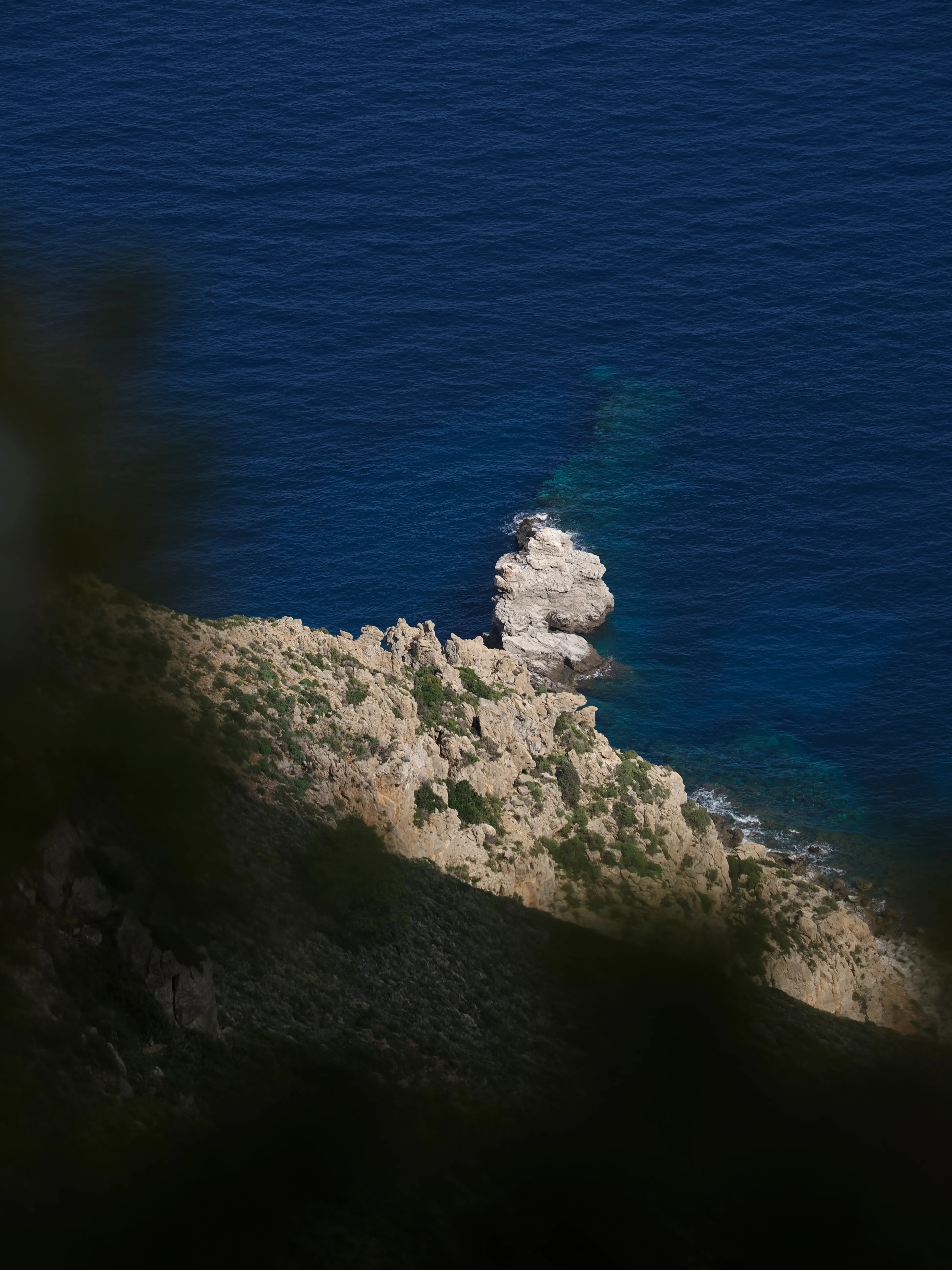 Respiro fiorito dell'autunno a Marettimo. Fotografia del sentire