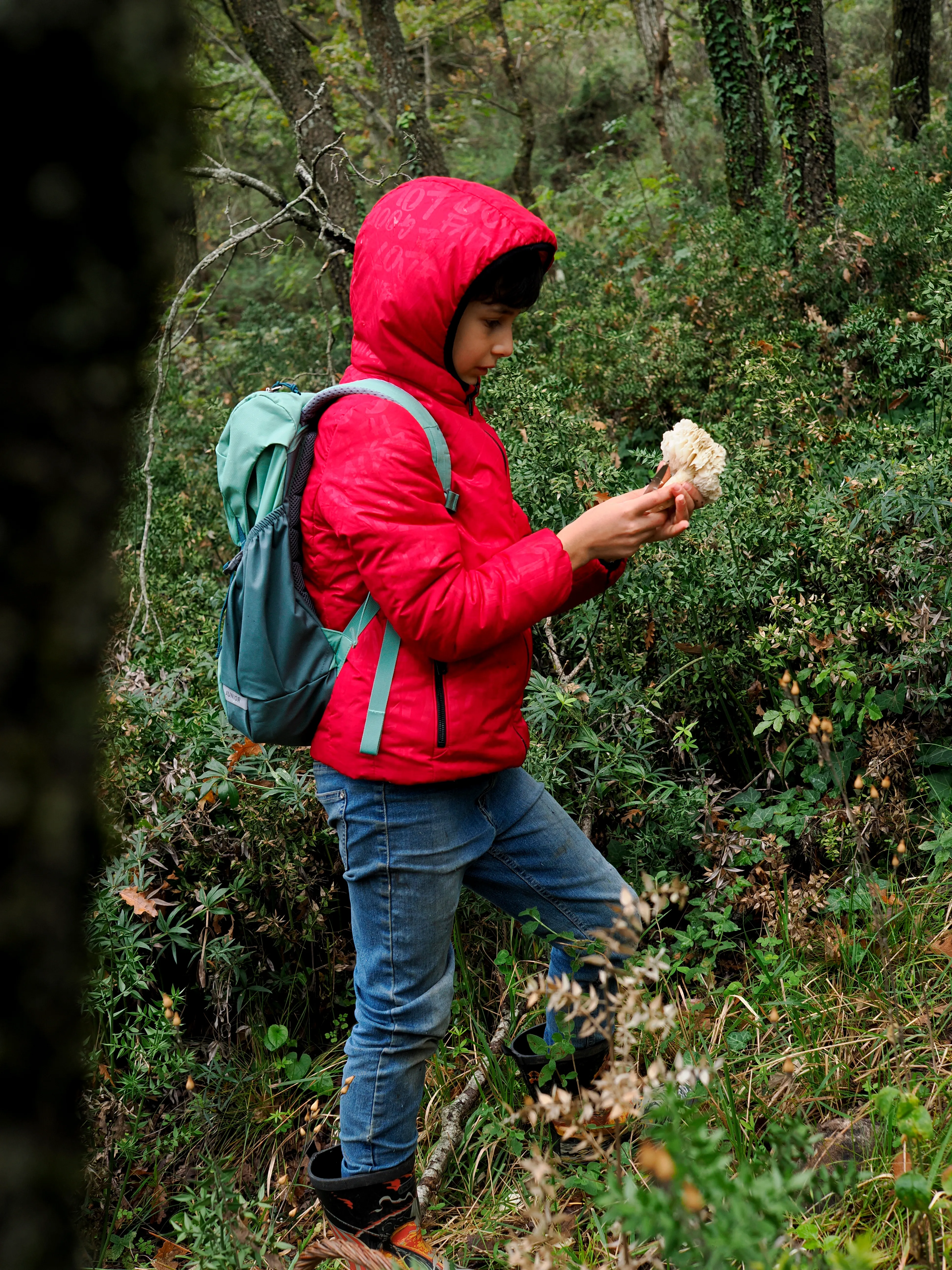 Nel bosco di cerri. La natura che insegna e cresce