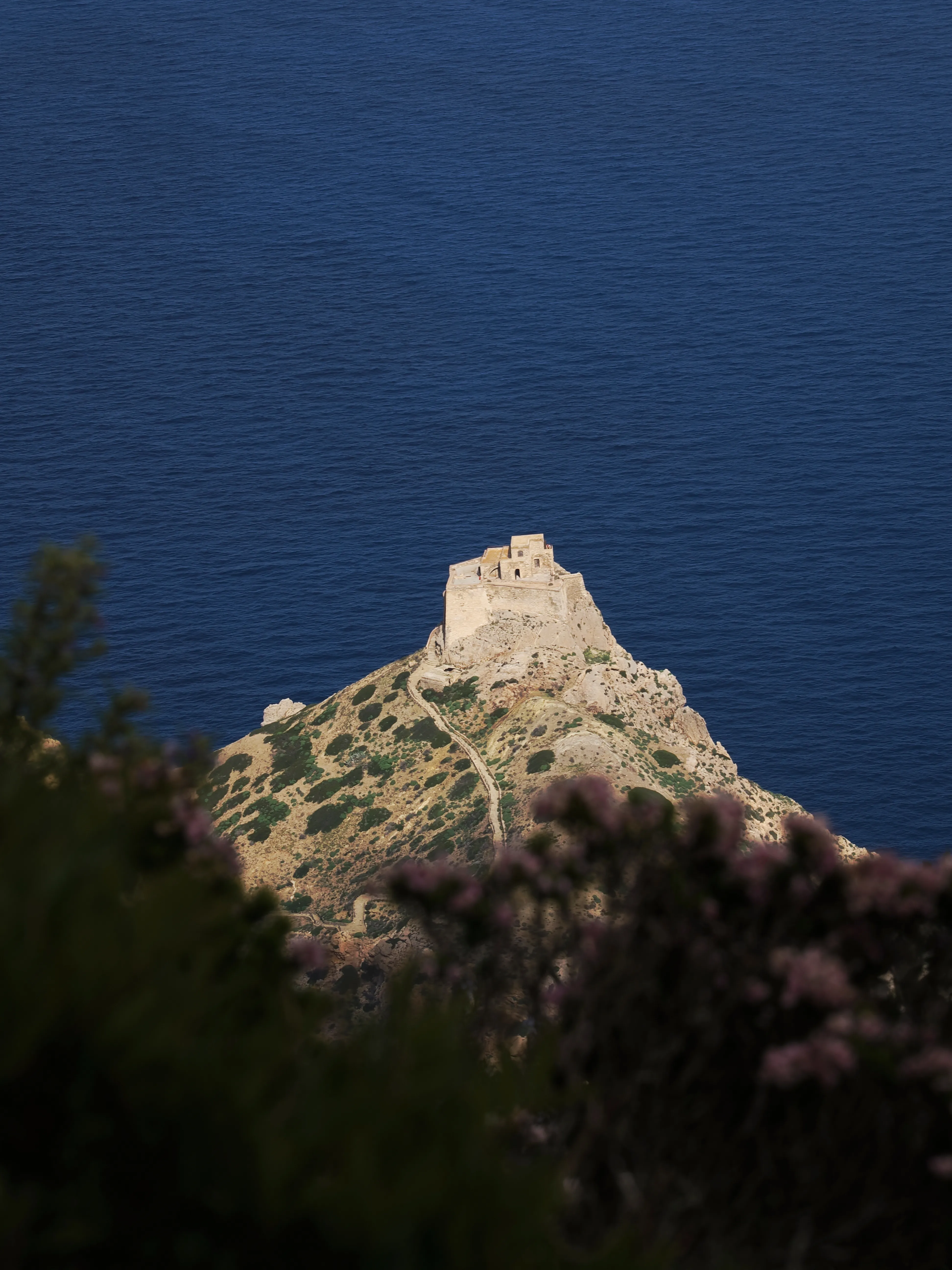 Respiro fiorito dell'autunno a Marettimo. Fotografia del sentire