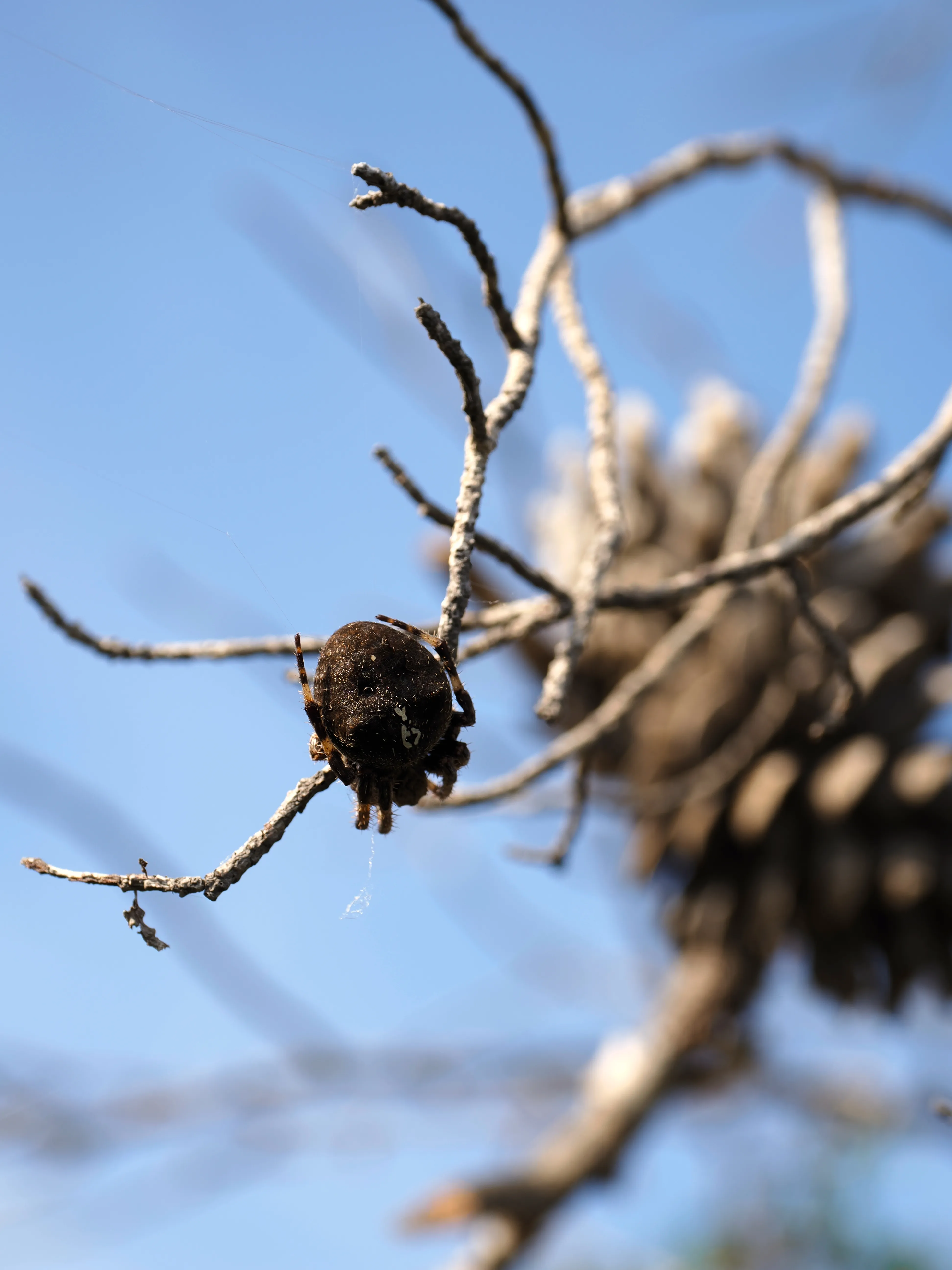 Sguardo a Levanzo. Fotografia del sentire
