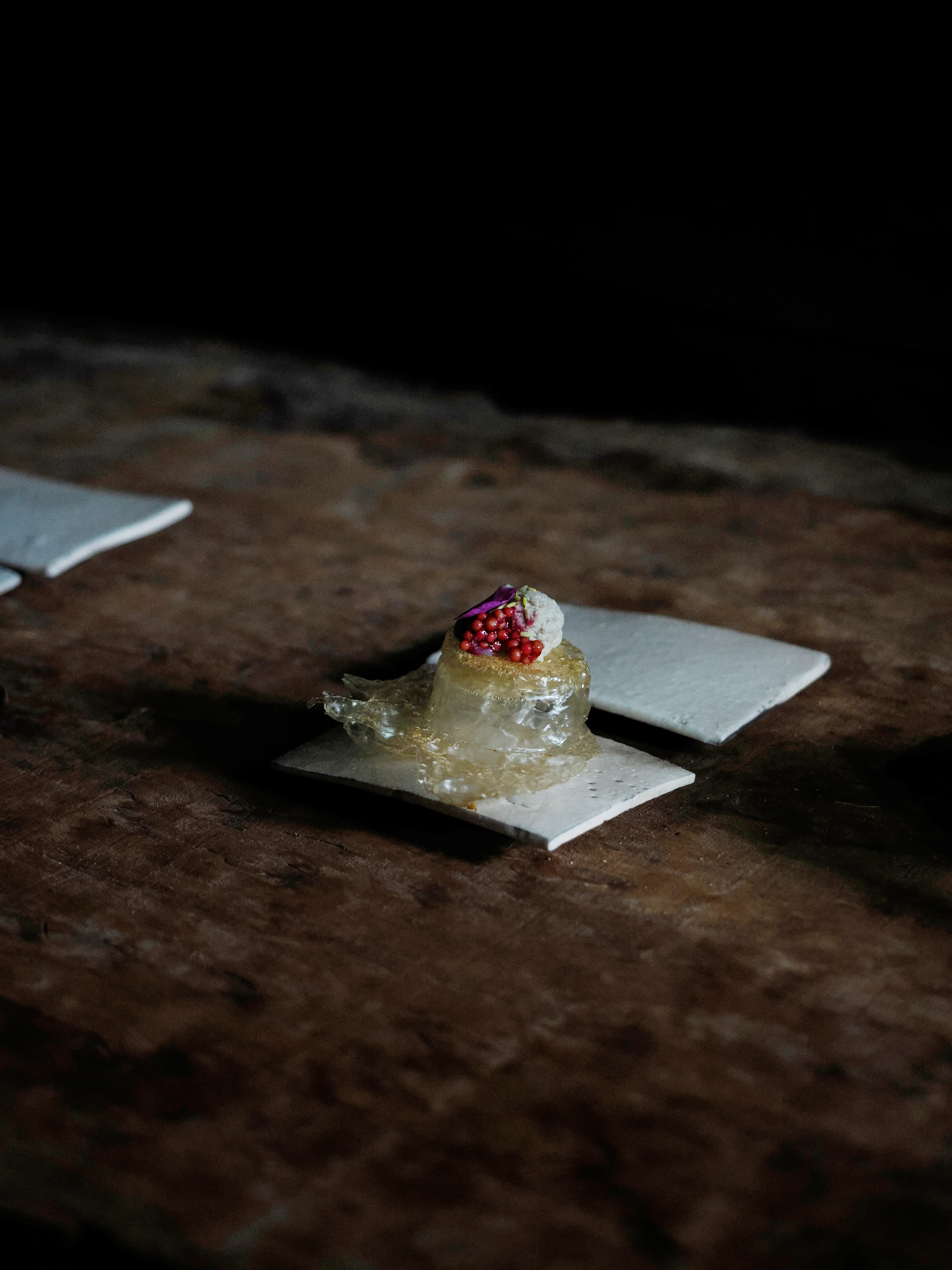 Régis Baudy. Lo chef artista e la sua poetica del vegetale.