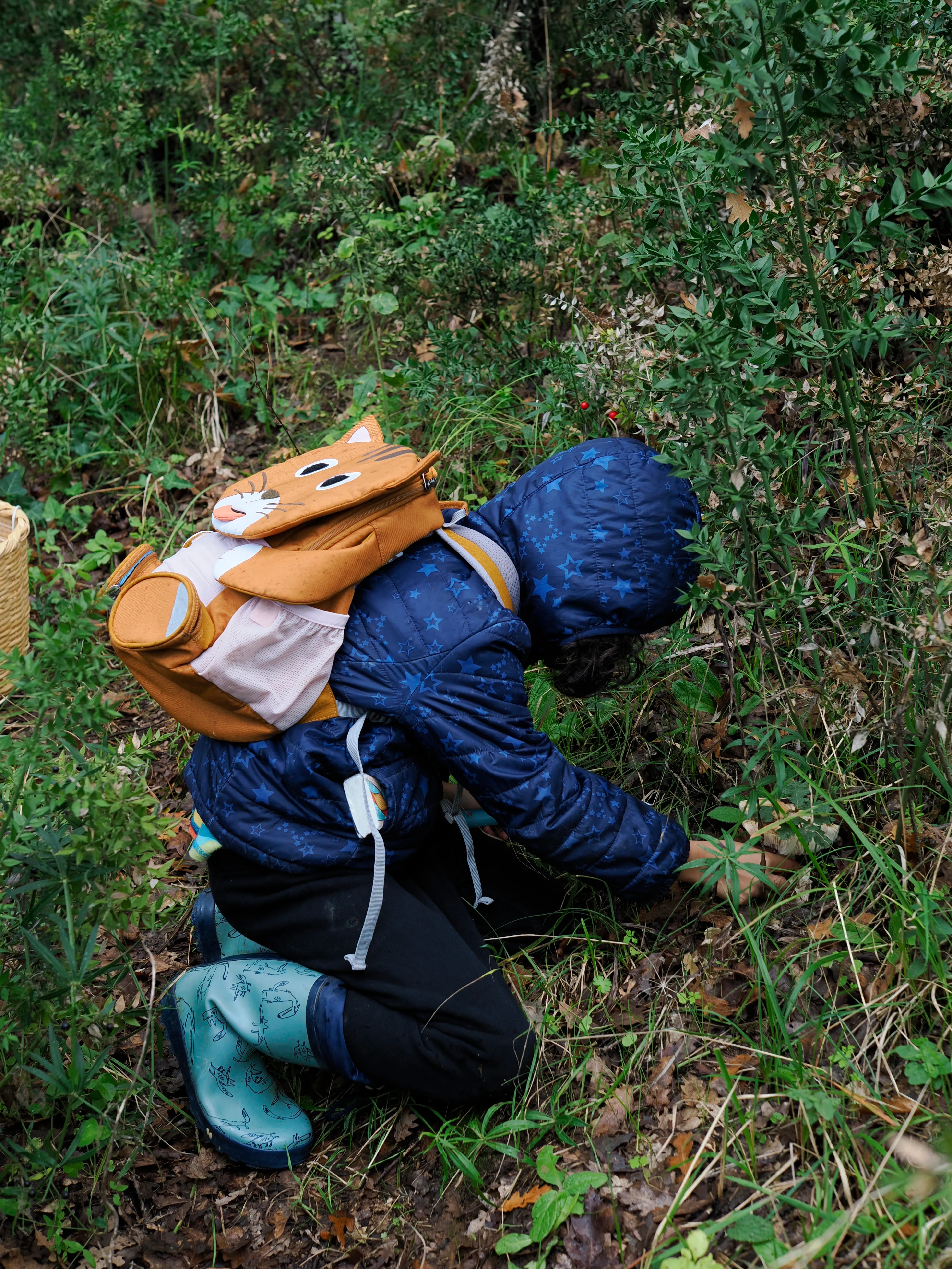 Nel bosco di cerri. La natura che insegna e cresce