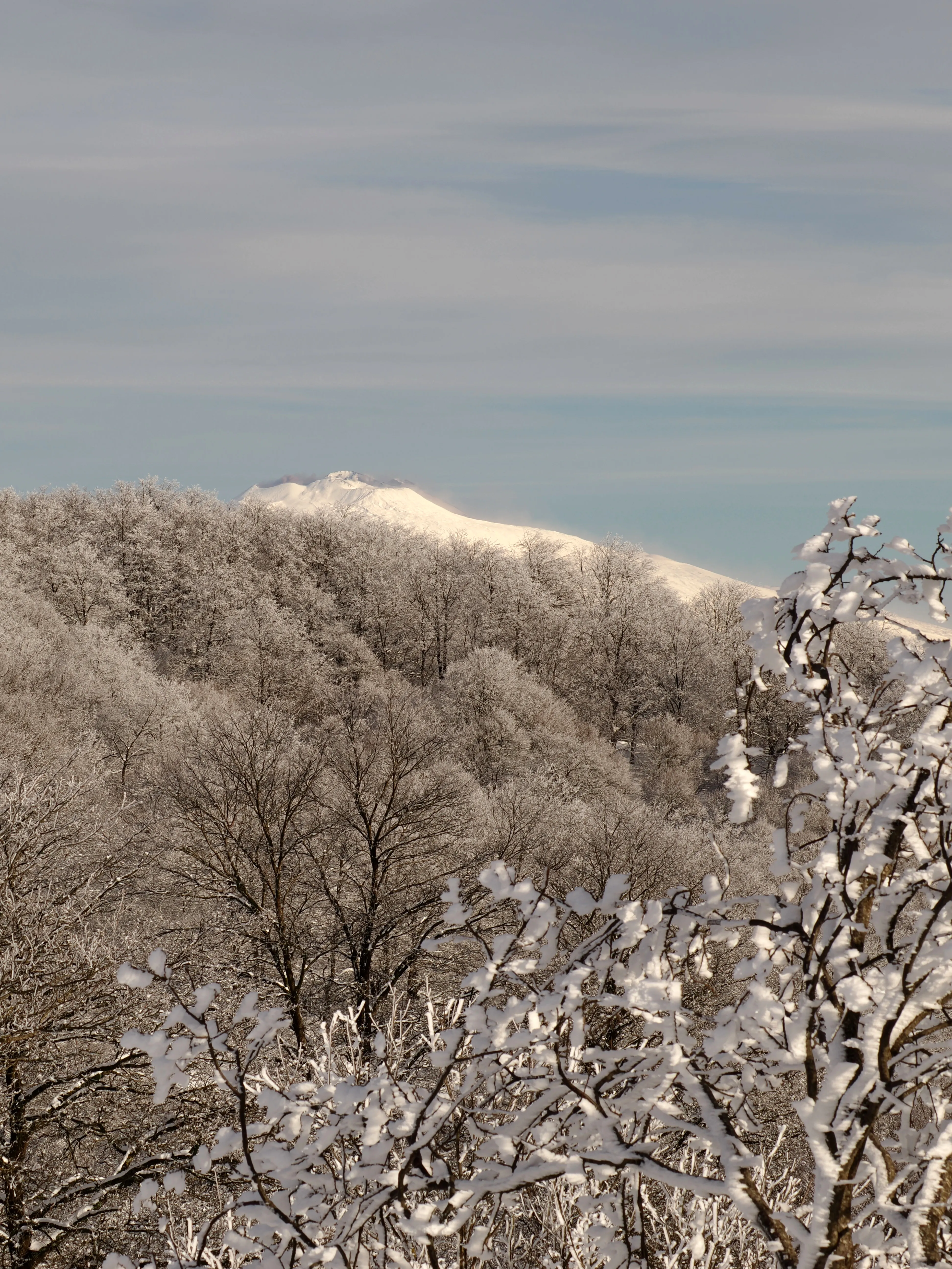 Strati di neve e libertà