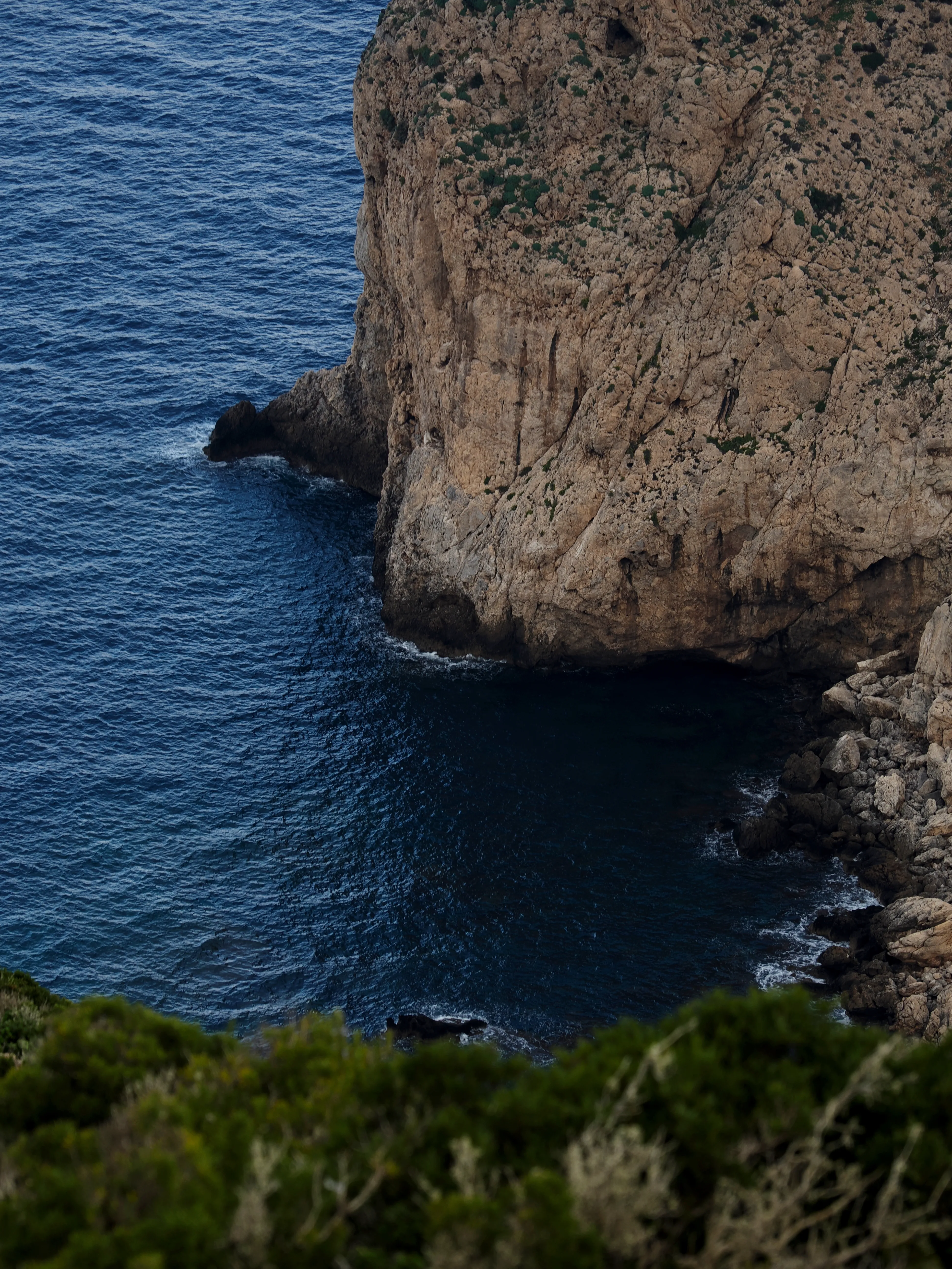 Respiro fiorito dell'autunno a Marettimo. Fotografia del sentire