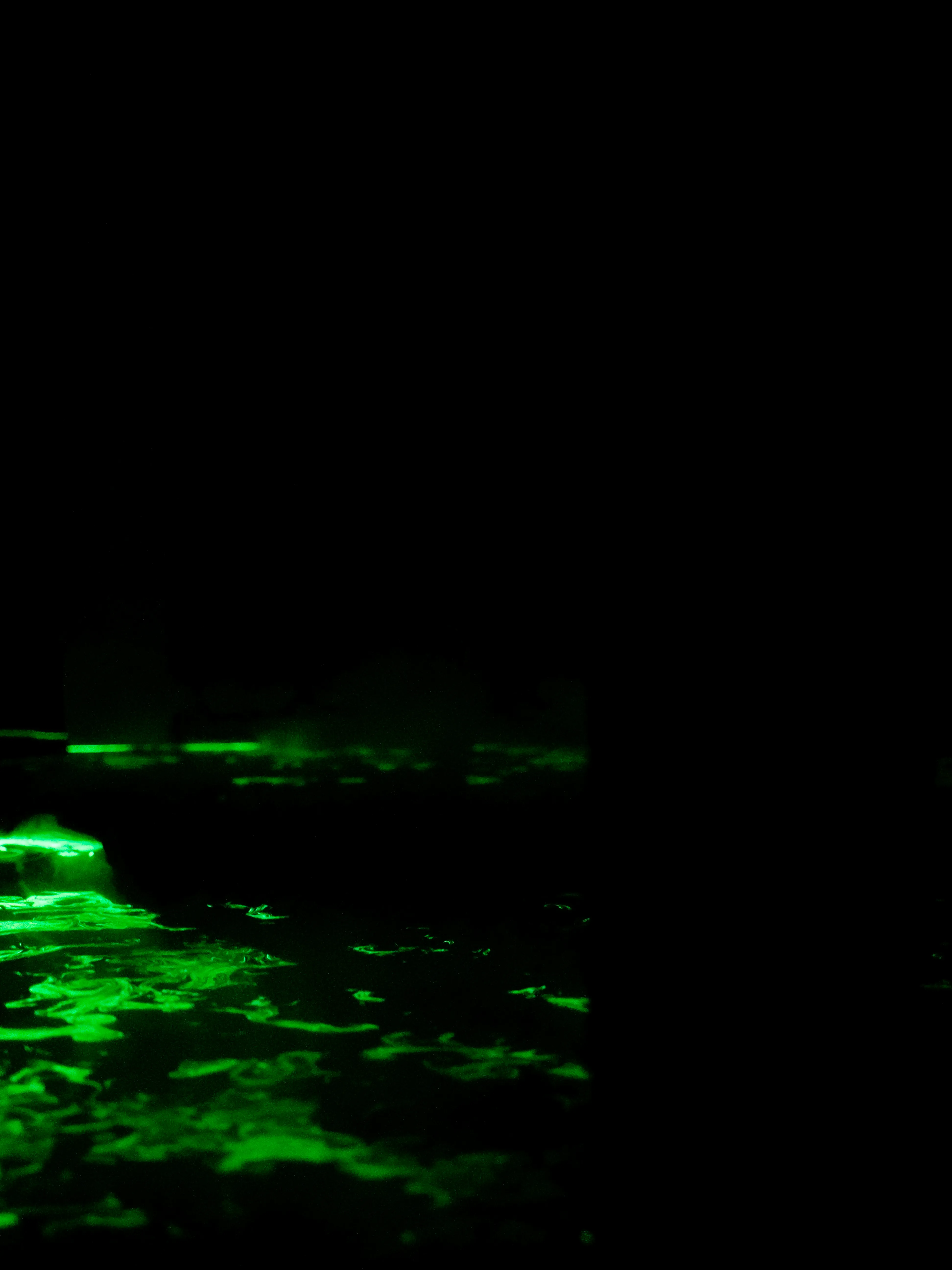 Prima di lasciare questa regale dimora