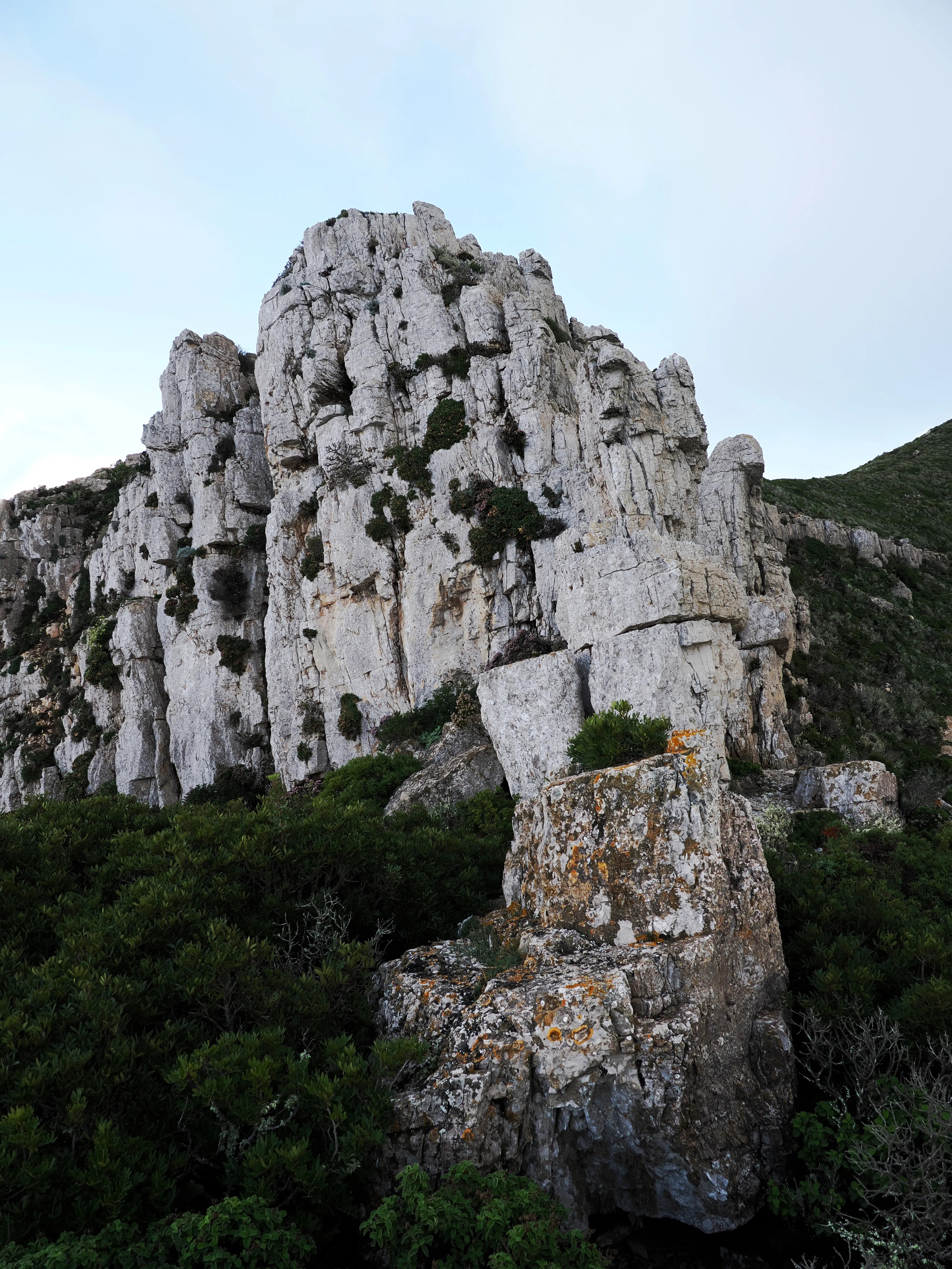 Respiro fiorito dell'autunno a Marettimo. Fotografia del sentire