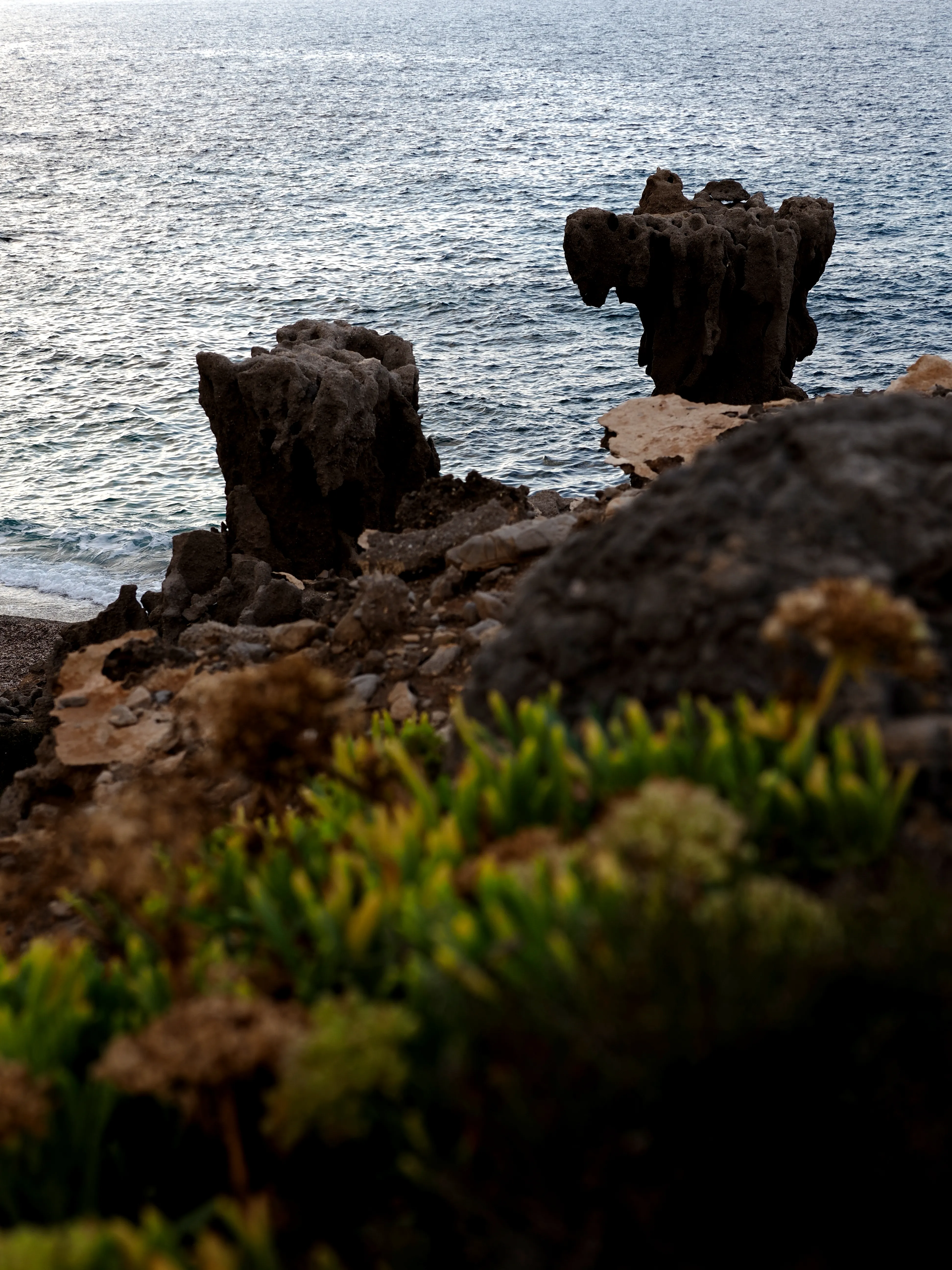 Respiro fiorito dell'autunno a Marettimo. Fotografia del sentire