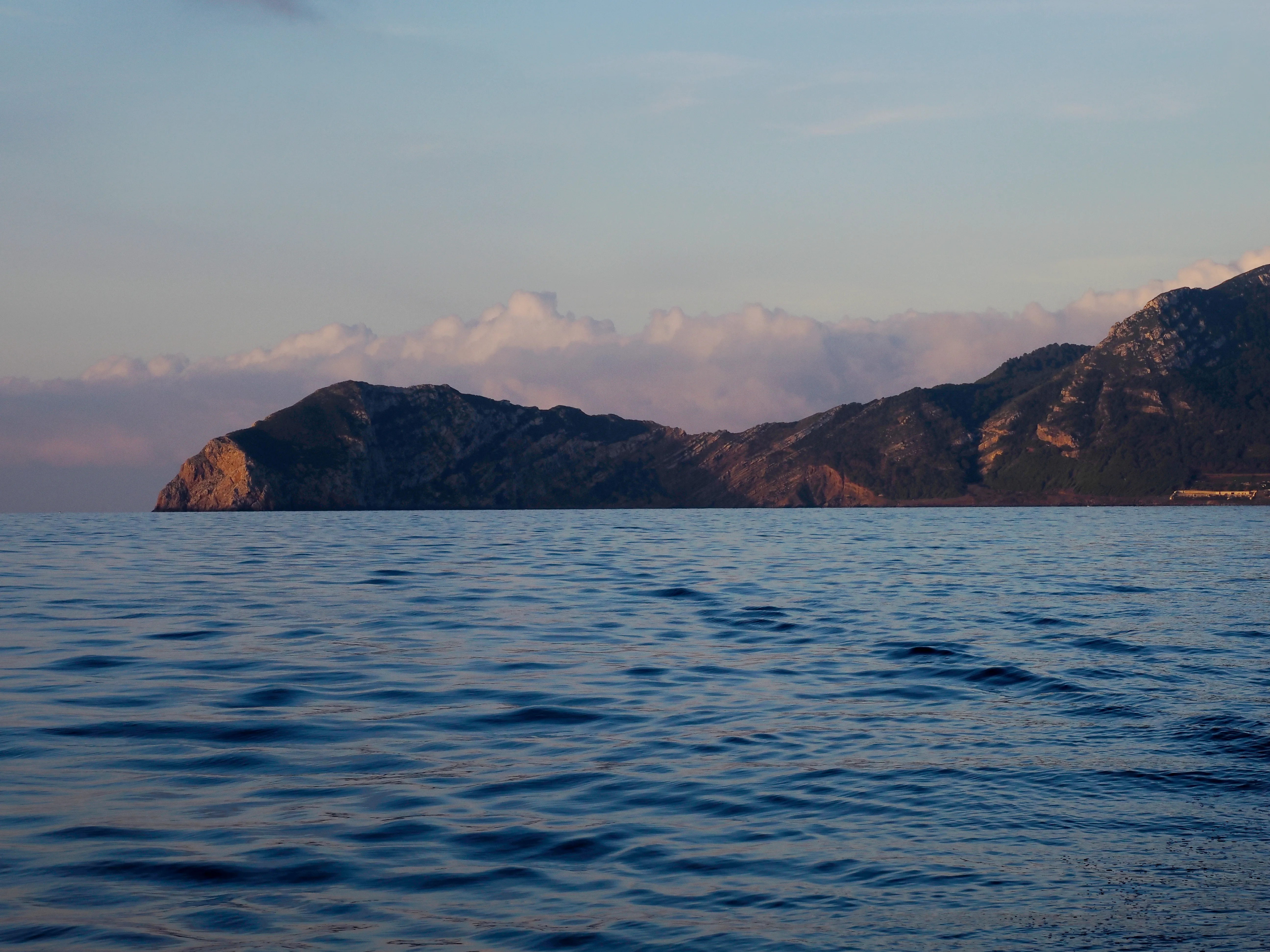 Respiro fiorito dell'autunno a Marettimo. Fotografia del sentire